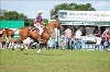 UKPA NC SAT_2308